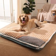 a large brown dog laying on top of a bed in the middle of a living room