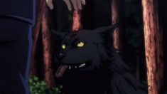 an evil looking wolf with yellow eyes in the woods