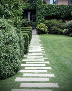 a stone path in the middle of a lawn with hedges and bushes around it, leading to a house