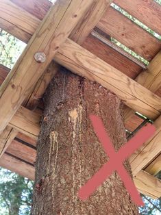 a large tree in the middle of a wooden structure