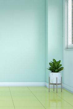 an empty room with a potted plant in the corner