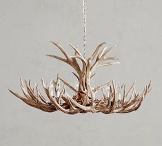 a chandelier made out of antlers hangs from a chain in front of a gray wall