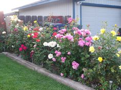 many different colored flowers in a garden next to a house