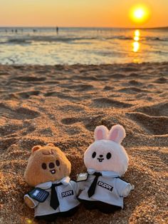 two stuffed animals are sitting in the sand at the beach as the sun goes down