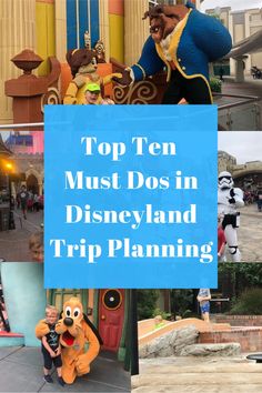 top ten must dos in disneyland and trip planning