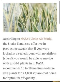 an article about nasa's clean air study, with the caption above it