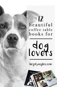 a dog with the title 12 beautiful coffee table books for dog lovers on it's cover