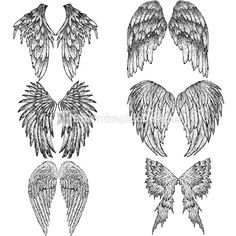 an image of different angel wings