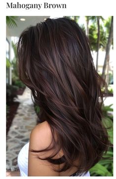 Dark Brown Mahogany Hair, Dark Brown Hair Warm Tones, Different Brown Hair, Mahogany Balayage, Warm Chocolate Brown Hair, Gorgeous Brown Hair, Brown Hair Color Shades, Hairstyle Black, Two Tone Hair