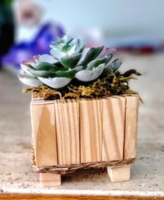 a small wooden planter with succulents in it sitting on a counter