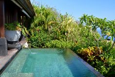 an outdoor swimming pool surrounded by greenery