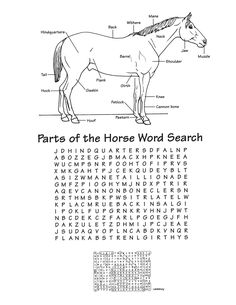 the parts of a horse word search is shown in black and white, with words below it