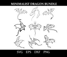 a set of nine different types of dragon drawings