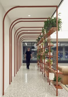 a long hallway with many plants on the shelves