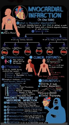 the medical info sheet shows different types of human body and their functions in each section