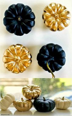 four different types of black and gold pumpkins