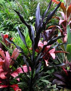 some very pretty flowers and plants in the grass