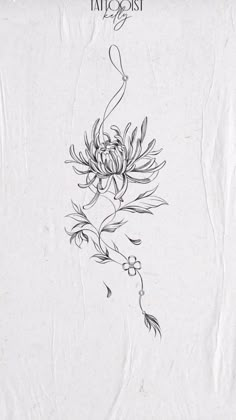 an ink drawing of a flower on white paper