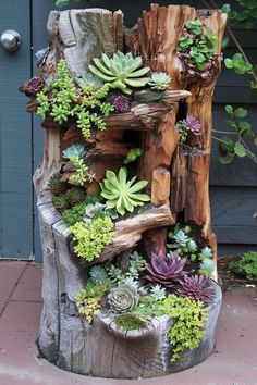 a tree stump with succulents and other plants growing out of it's sides