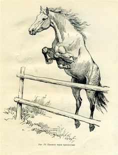 a drawing of a horse standing on its hind legs in front of a wooden fence