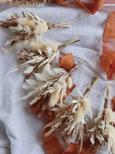 several dried flowers are laying on a white sheet