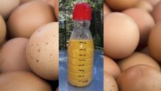 a bottle of mustard sitting on top of a pile of eggs