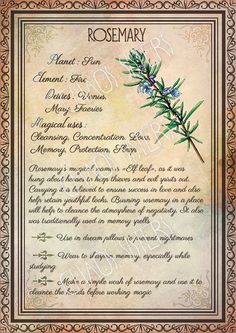 Herbs Book, Book Of Shadows Pages, Grimoire Pages, Herbs Plants