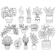 a line drawing of potted plants and cacti in different shapes, sizes and colors