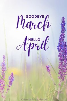 Goodbye March Hello April HD Images Welcome April Images, Status For Facebook, April Aries, Paw Patrol Decorations