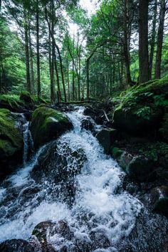 a small stream running through a forest filled with rocks and trees on either side of it