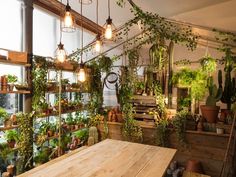 a room filled with lots of potted plants next to a wooden table in front of a window