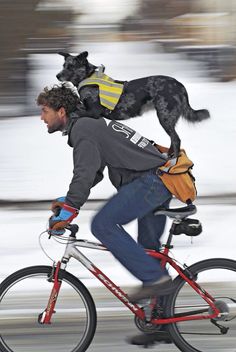 a man riding a bike with a dog on his back