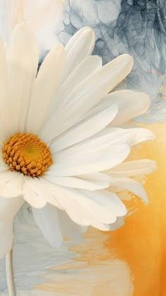 Daisy flower petal plant. | Premium Photo Illustration - rawpixel Beautiful Flowers Painting, Sunflower Images, Sunflowers And Daisies, Cell Phone Wallpapers, Sunflower Wallpaper, Wallpapers Quotes, Wallpaper Nature Flowers, Sunflower Painting