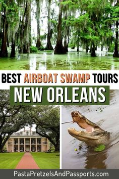 the best airboat swamp tours in new orleans, florida with text overlay that reads best