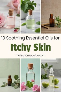 Discover the best essential oils for itchy skin and find effective itch relief with these proven oils. Lavender oil, tea tree oil, frankincense oil, and geranium oil are just a few of the top choices for soothing irritated skin. Create your own roller blend or try ready-made oil blends to calm skin itching. Explore 10 essential oils known for their powerful anti-itch properties and create a natural remedy for rashes and itchy skin. How To Stop Itchy Skin, Itchy Skin Remedies Itch Relief, Oils For Itchy Skin, Skin Tightening Oils, Essential Oils Uses Chart, Itchy Skin Rash, Itchy Skin Remedy, Skin Itching, Relieve Itchy Skin