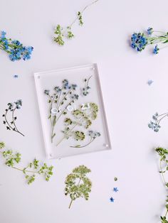 pressed flowers in a glass frame on a white surface next to blue and green wildflowers