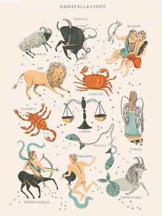 zodiac signs are depicted in this hand - drawn illustration from the book, constellations