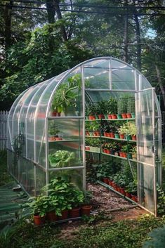 a greenhouse with plants growing inside of it in the middle of some grass and trees