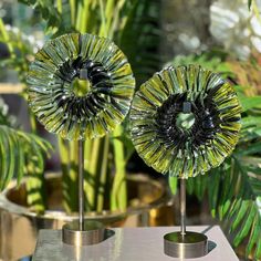 two glass vases sitting on top of a table next to green plants and potted plants