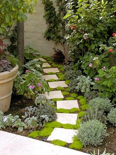 a stone path in the middle of a garden