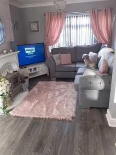 a dog sitting on the back of a gray couch in front of a flat screen tv