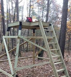 a wooden swing set in the woods surrounded by leaves