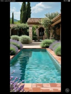 an outdoor pool surrounded by plants and lavenders in front of a house with a stone patio