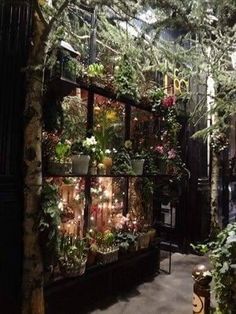 a room filled with lots of potted plants next to a tall wooden structure covered in greenery