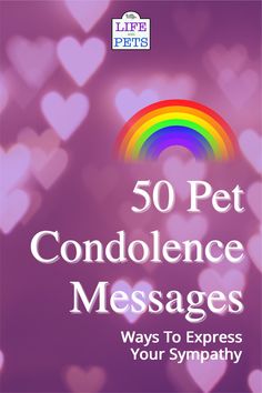 the book cover for 50 pet condonce messages, with hearts in the background and rainbow