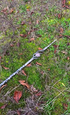 a long metal stick laying on top of green grass covered in dirt and dead leaves