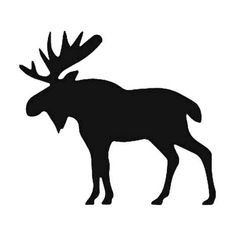 the silhouette of a moose is shown on a white background