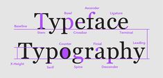 typeface typograph in purple and black