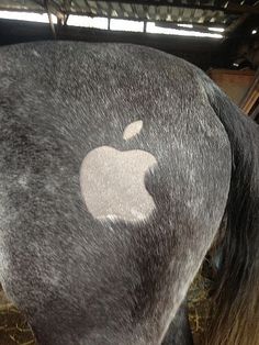 an apple sticker on the back of a horse's head in a barn