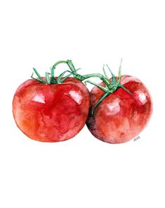 two tomatoes are shown in this watercolor painting on the white paper, one is red and